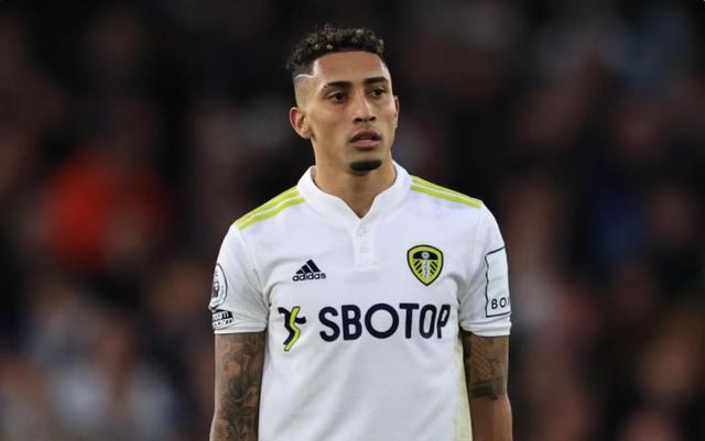 它反映了许 它反映了许