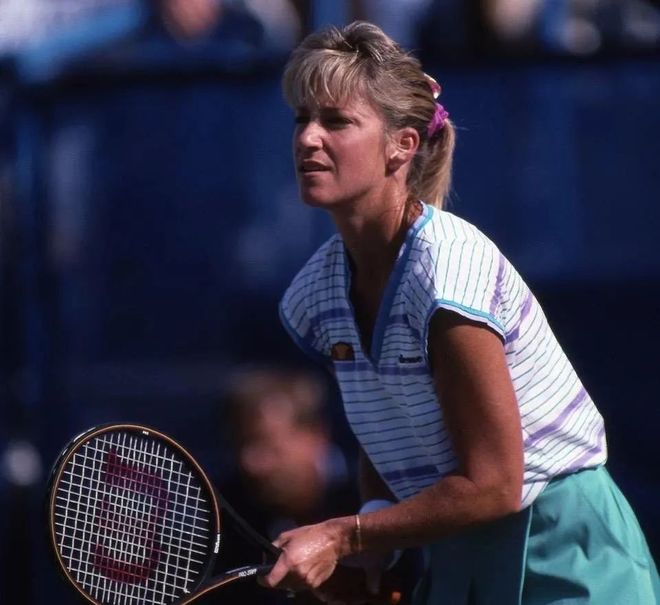 参考伊布 参考伊布